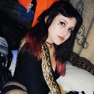 Meet your Posher, Shiloh